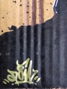 IMG_2693.jpeg