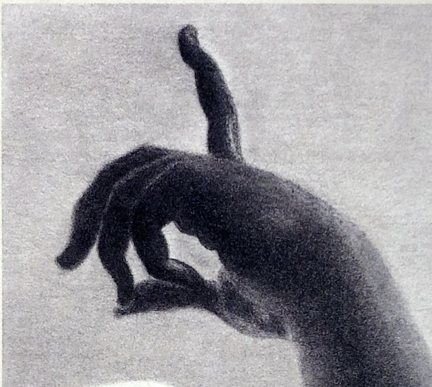 Study in Figure