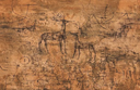 The Deer