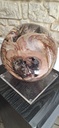 20250218_140959.jpg