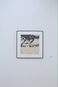 Encre
