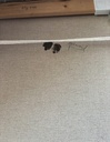 IMG_8210.jpeg