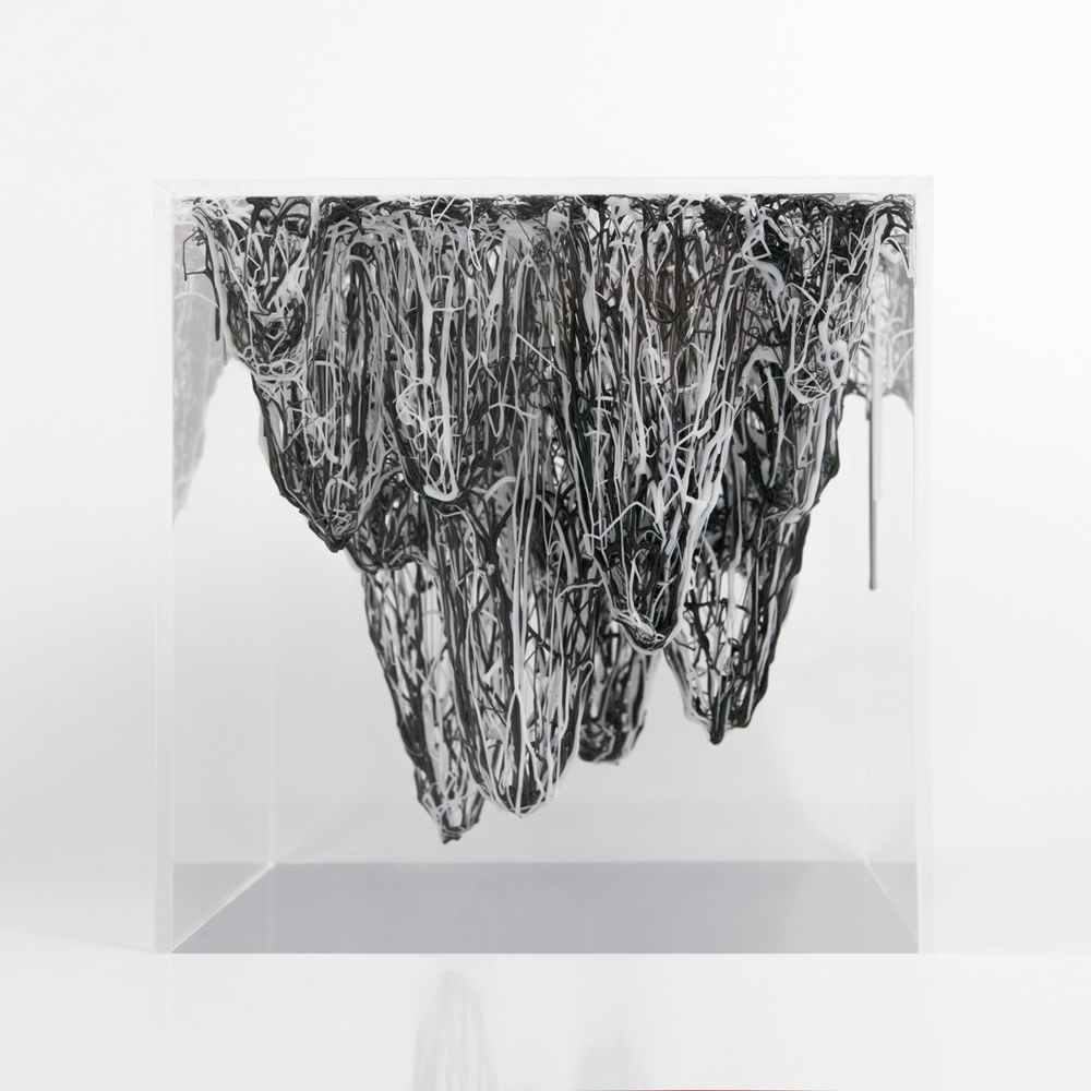 Yasuaki Onishi - Inside of volume 17P1 - 2017 - photo 2.jpg