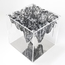 Yasuaki Onishi - Inside of volume 17P1 - 2017 - photo 1.jpg