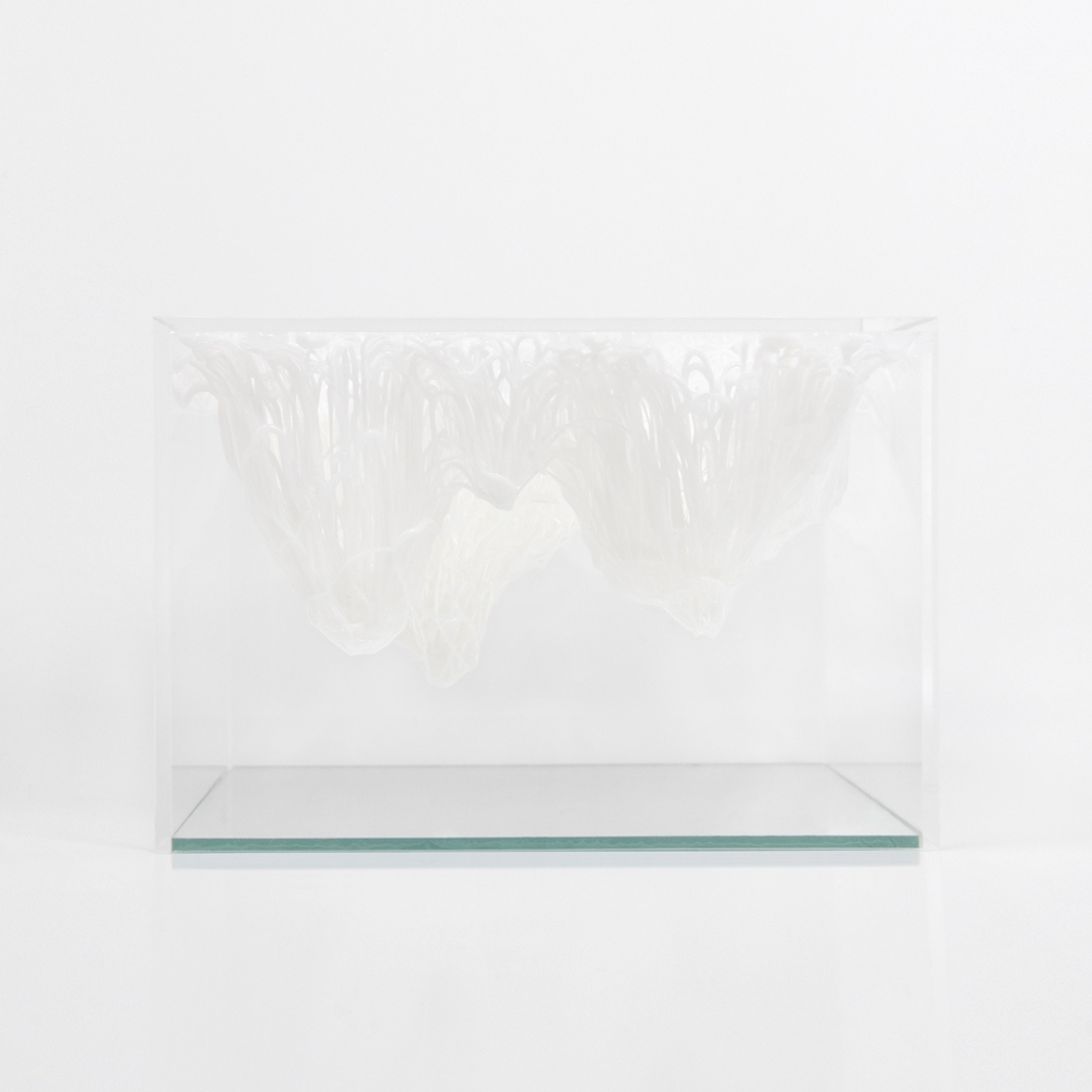 Yasuaki Onishi - Inside of volume - 2016 - photo 2.jpg