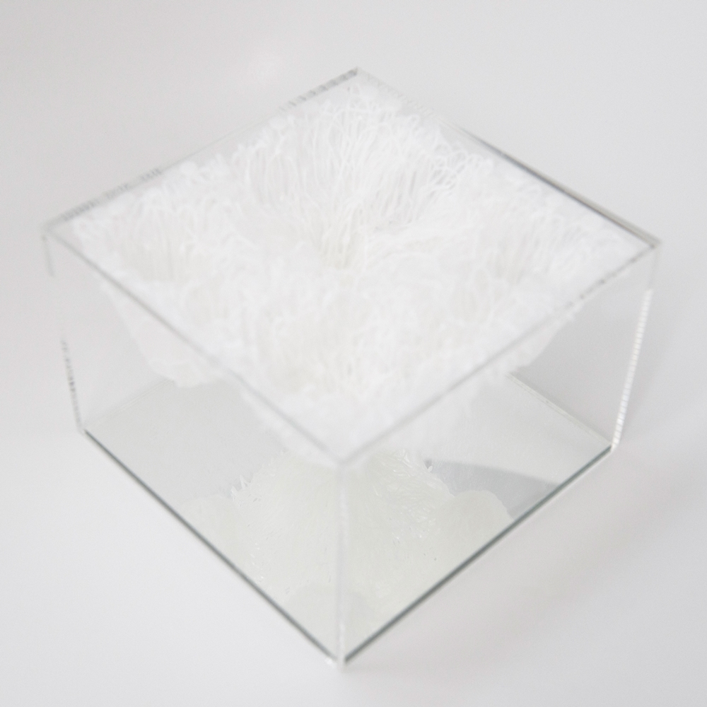 Yasuaki Onishi - Inside of volume - 2016 - photo 1.jpg