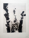 Zao Wou-Ki - “Eau forte” - 1994 - photo 3.jpg