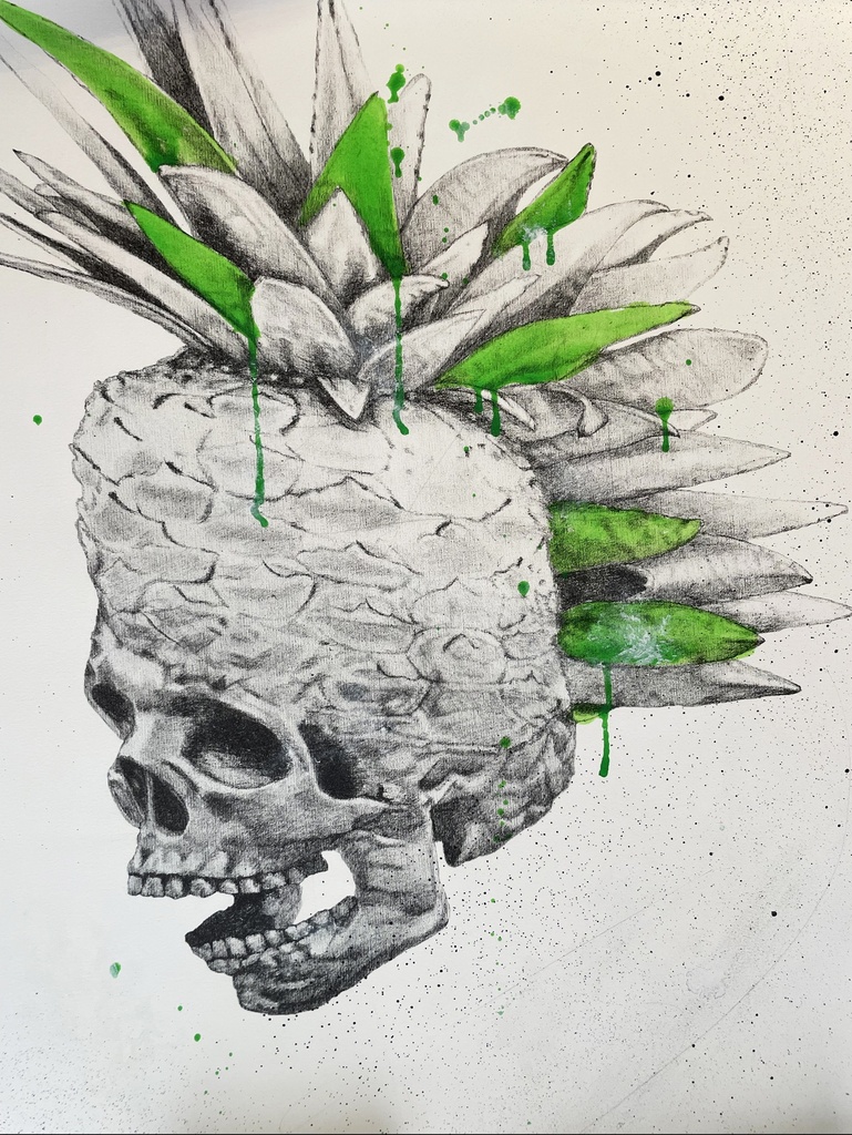 Ludo - Punk Pineapple - 2013 - 2