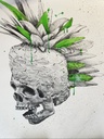 Ludo - Punk Pineapple - 2013 - 2