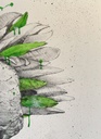 Ludo - Punk Pineapple - 2013 - 3