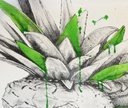 Ludo - Punk Pineapple - 2013 - 4
