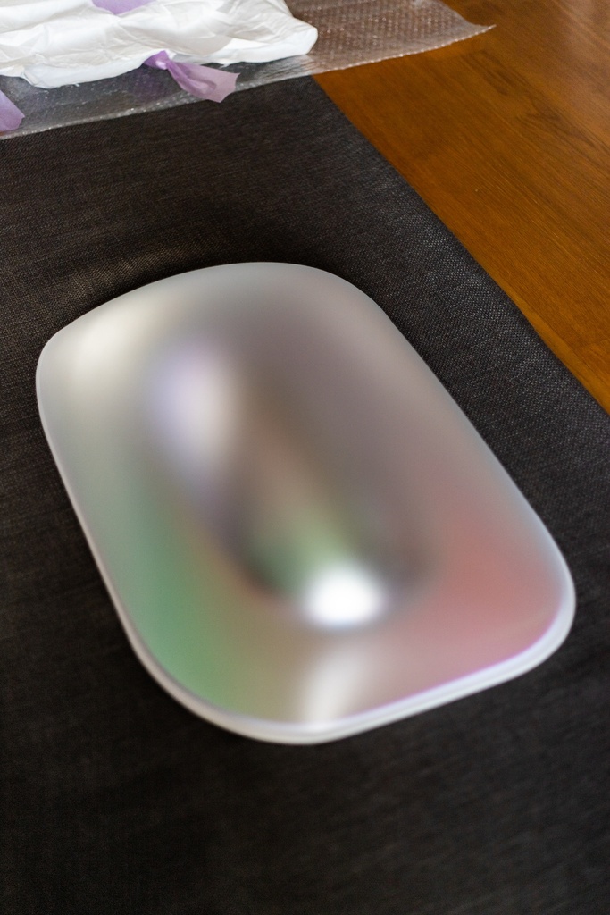 Gisela Colon, Ovoid (Titanium Silver) 2