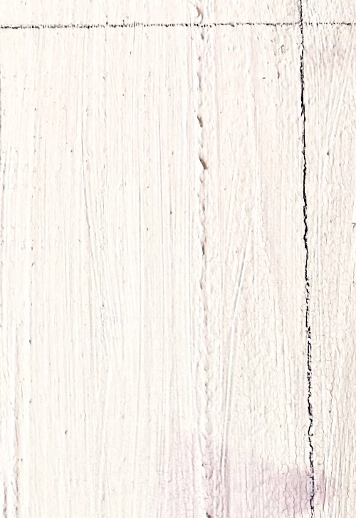 Benoit Maire - Feuille Blanche - 2010 - 2