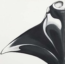 ARDIF - Manta Ray mecanimal - nd - 3