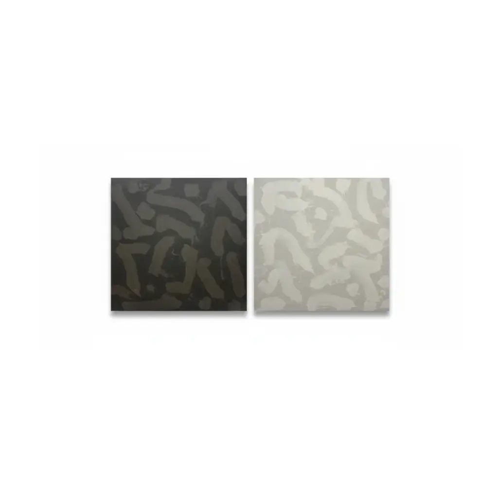 Black and White Diptych