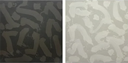 Black and White Diptych