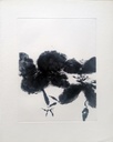 “Eau forte” from the book “Les XXIV premiers sonnets de Versailles”