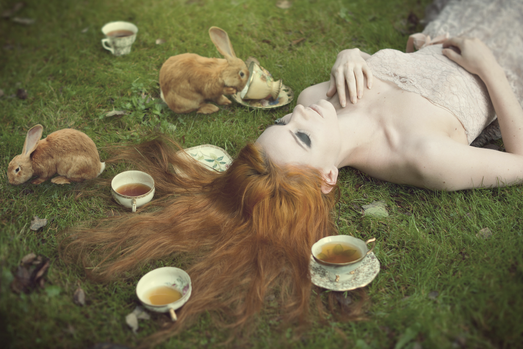 Sweet Feast