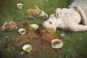 Sweet Feast
