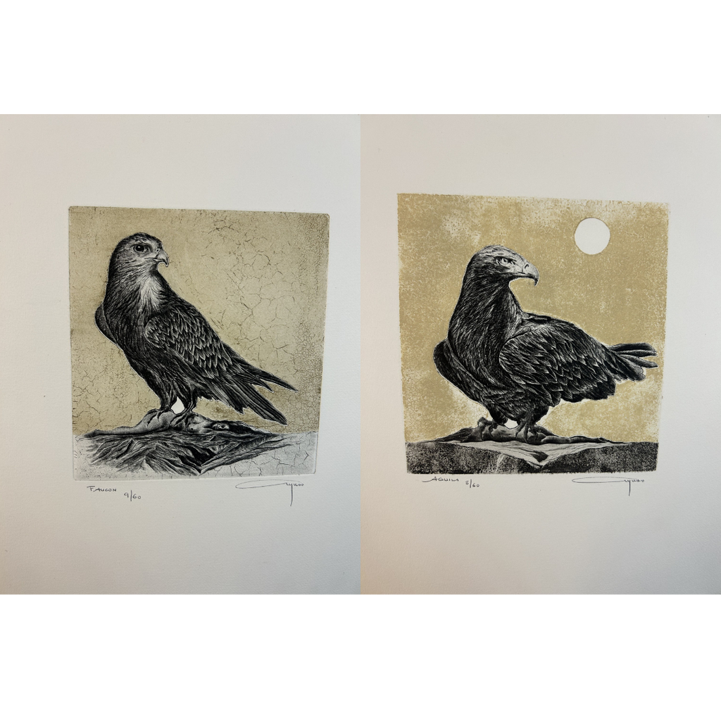 Faucon & Aguila