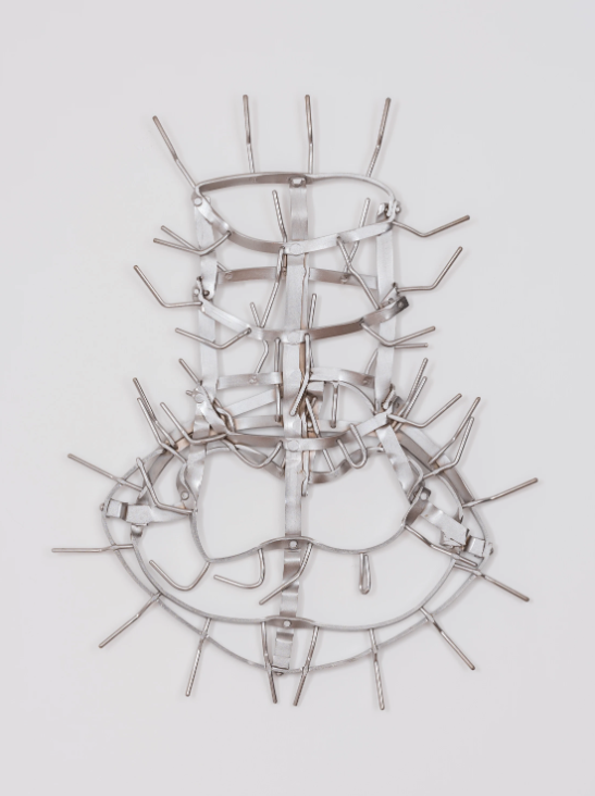 Crinoline 3