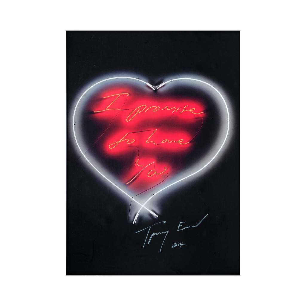 I Promise to Love You