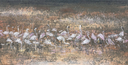 Paysage - Flamants roses
