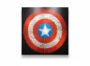 STARSHIELD
