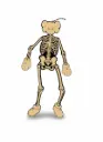 "KAWS Skeleton Board Cut out Ornament" BONES VERSION