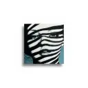 Silent stripes