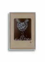 A.L.S.D