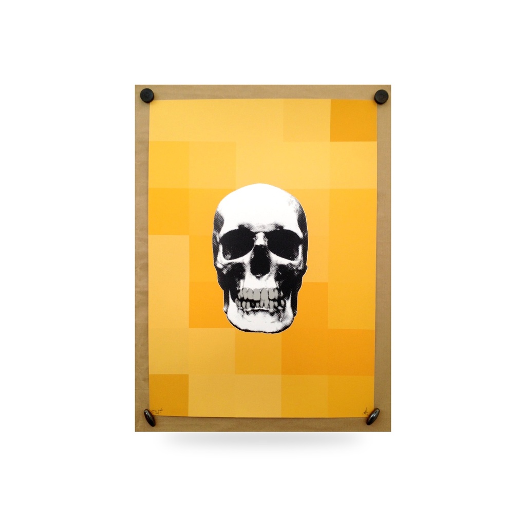ORANGE PIXELS