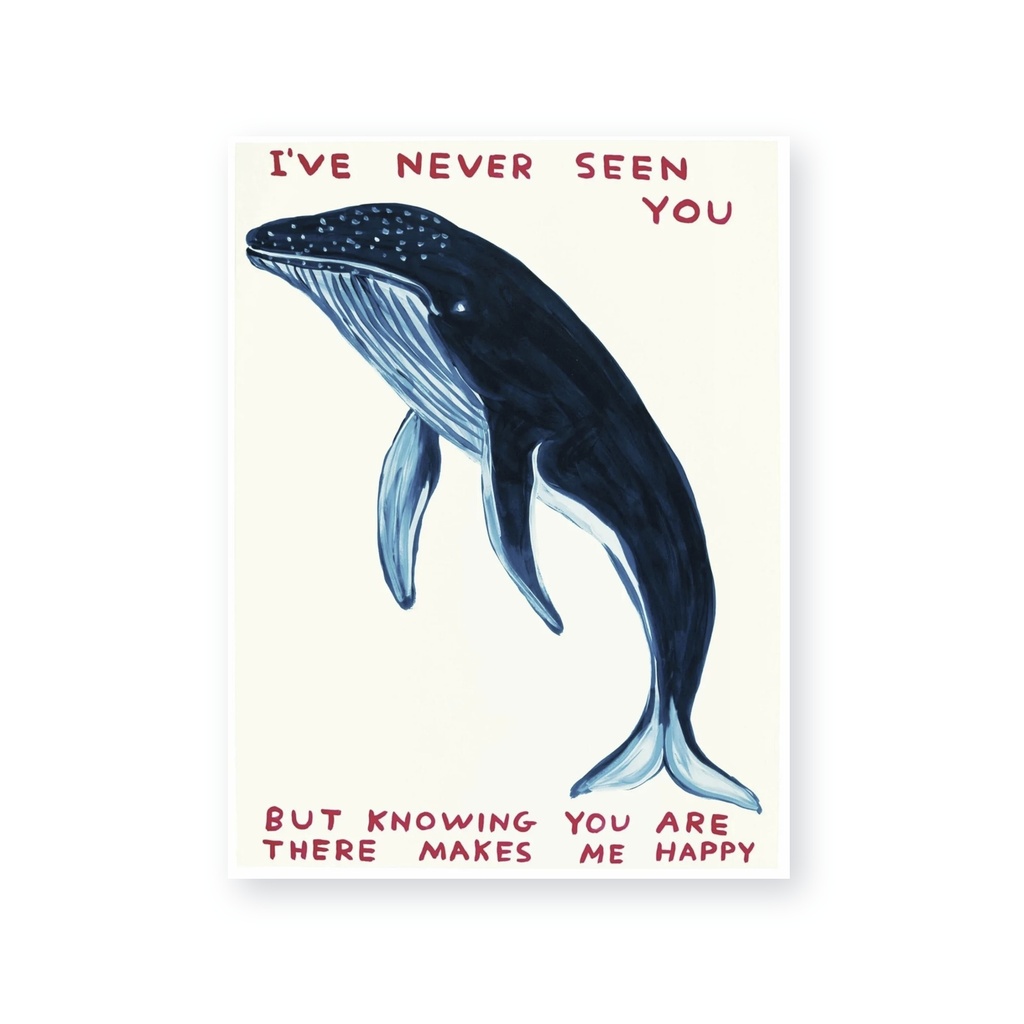 I've Never Seen You