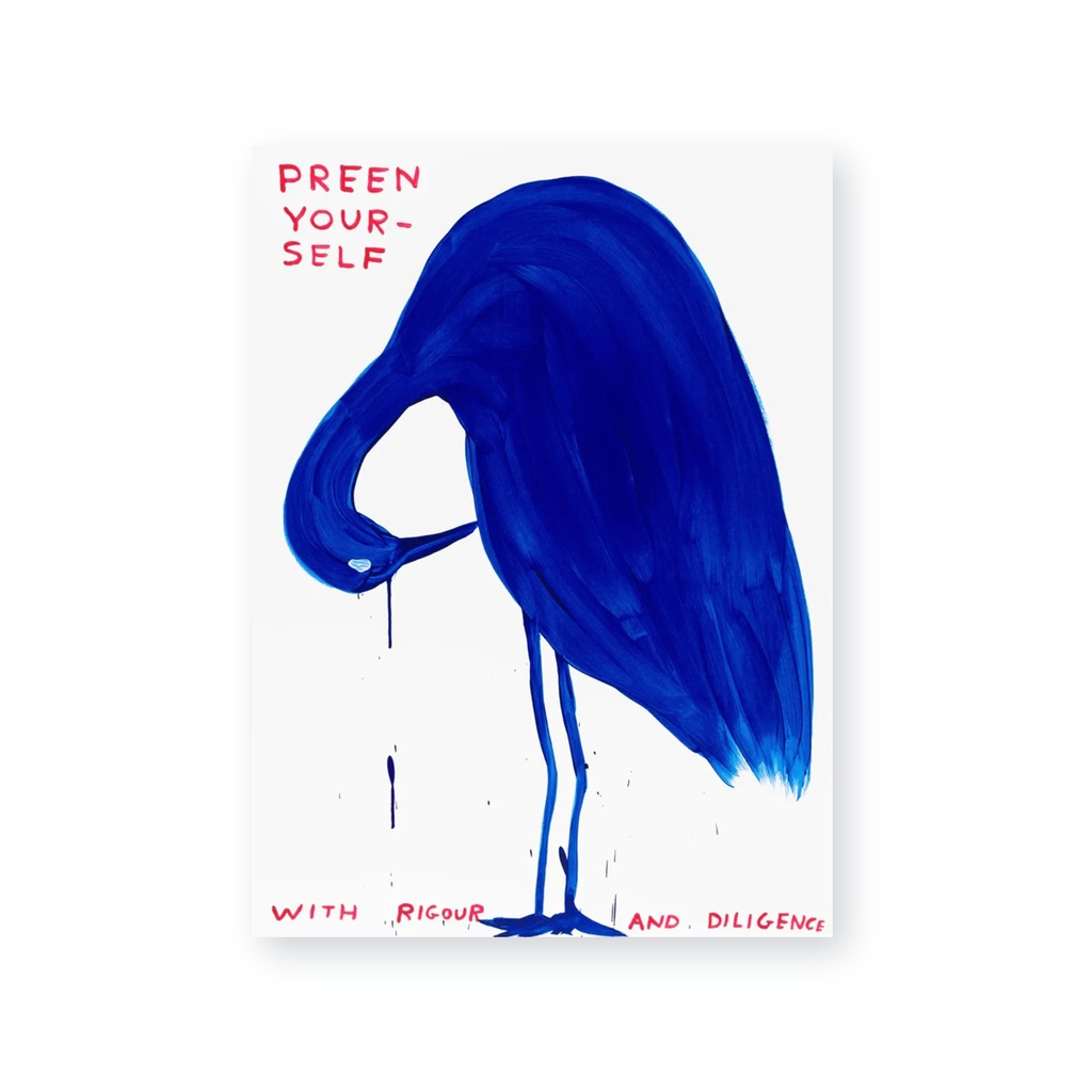 Preen Yourself with Rigour and Diligence