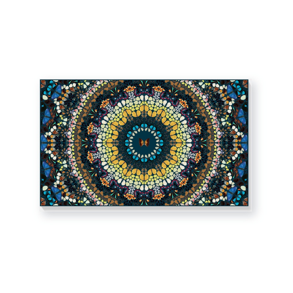 The Kaleidoscopes H18-3 'Psychedelic'