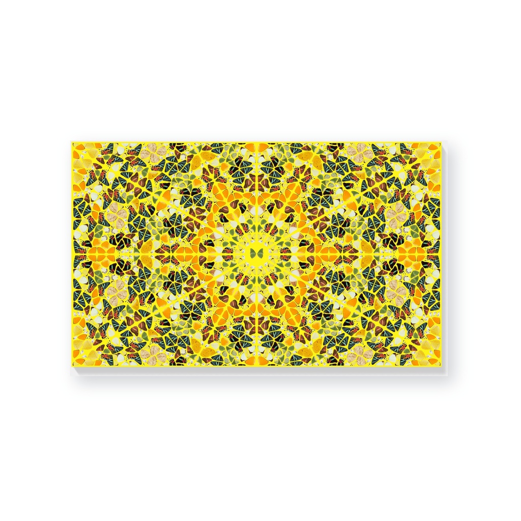 The Kaleidoscopes H18-4 'Splendour'