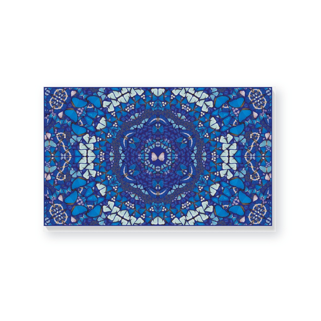 The Kaleidoscopes H18-2 'Chameleon'