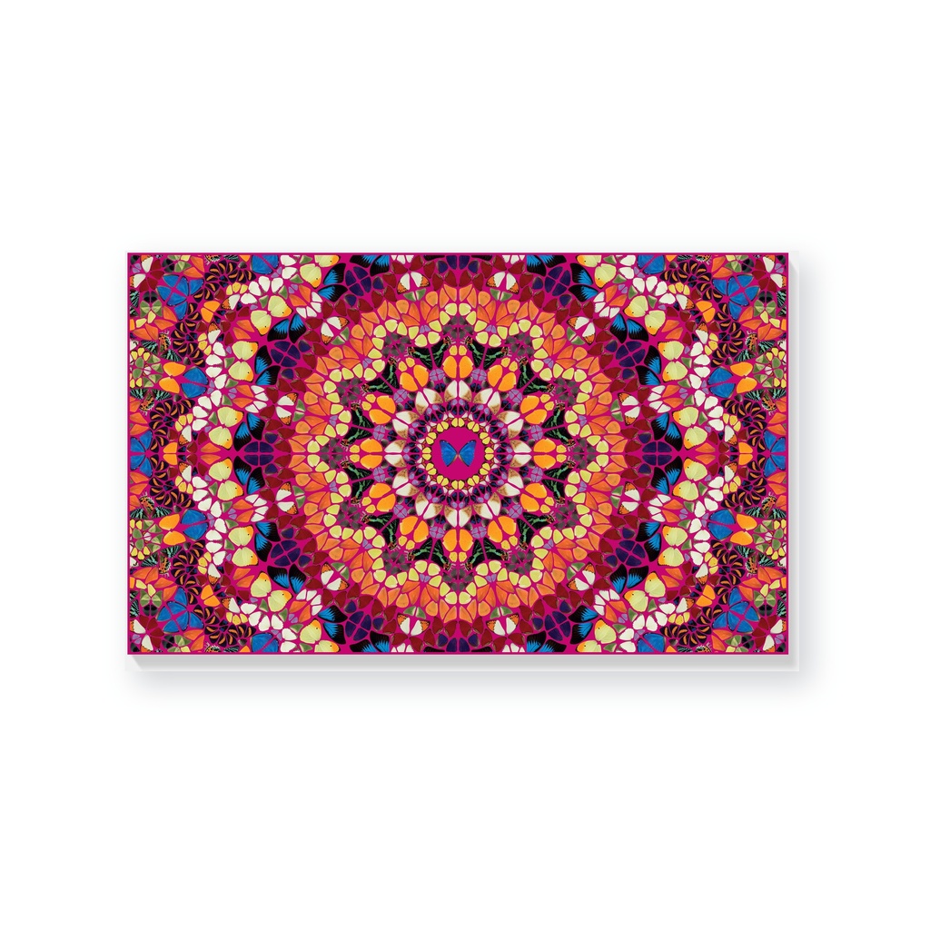 The Kaleidoscopes H18-1 'Harlequin'
