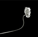 Variation on a poppy