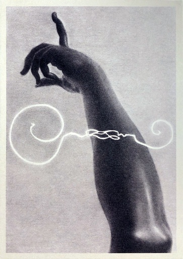 Study in Figure