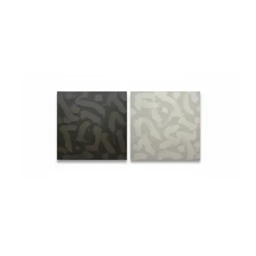 Black and White Diptych