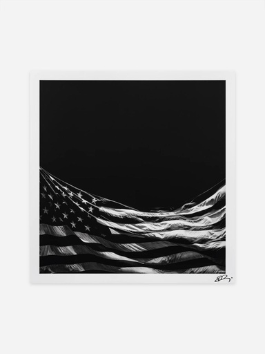 Untitled (Falling Flag)