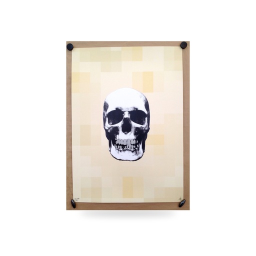"BONE PIXELS" Skull